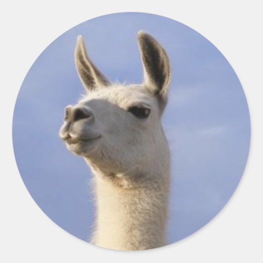 Guard Llama Ronde Sticker (Voorkant)