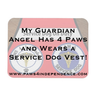 Guardian Angel Car Magnet Magneet