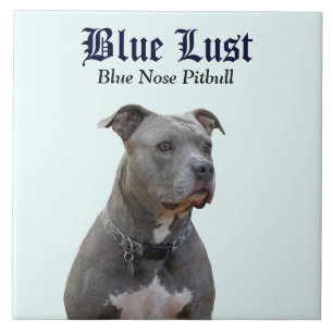 Guardian Blue Pitbull Ceramic Tile Tegeltje