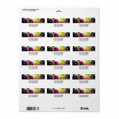 Guardian of the Galaxy Etiket (Full Sheet)