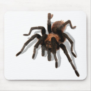 Guardian Tarantula Muismat