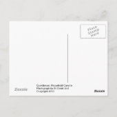 Guardsman, Cavalry Huishouden Briefkaart (Achterkant)