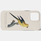 Guarouba dans zonen jeune leeftijd / Sun parkiet Case-Mate iPhone Case (Achterkant (horizontaal))