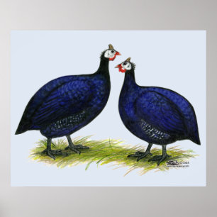 Guas Royal Paars Pair Poster