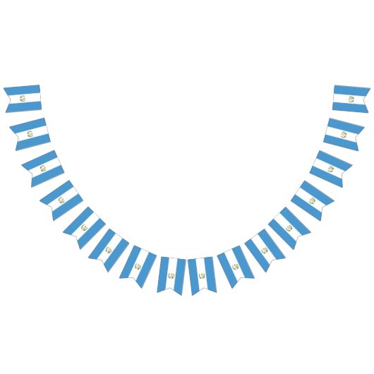 Guatemala flag  vlaggetjes (Alle)