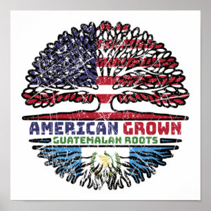 Guatemala Guatemala Amerikaans-Amerikaanse Verenig Poster