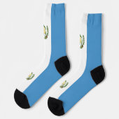 Guatemalteekse vlag sokken (Links)