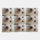 "Gucci" a Bichon Frise - Kitchen Towel Theedoek (Horizontaal)