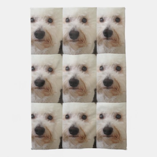 "Gucci" a Bichon Frise - Kitchen Towel Theedoek (Verticaal)