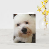 Gucci - Bichon Frise Carte pour notes (Fleur jaune)