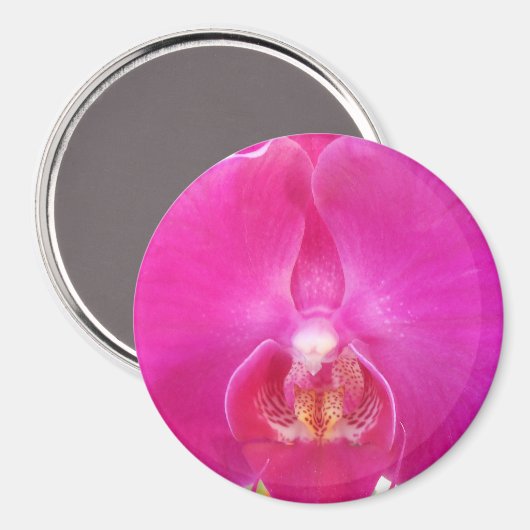 Guda Magneet (Voorkant / Achterkant)