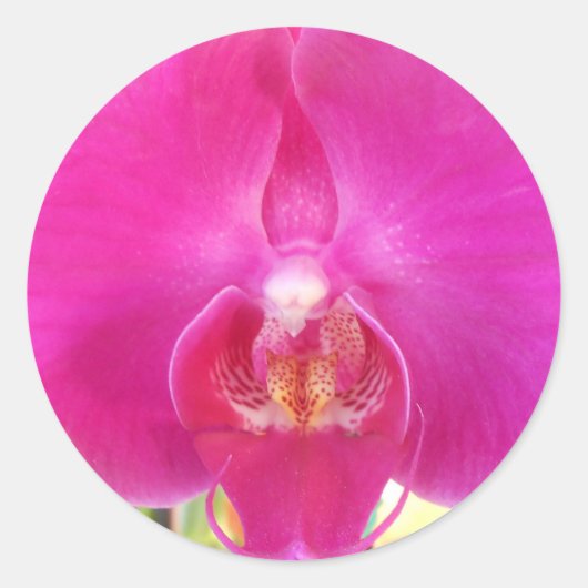 Guda Ronde Sticker (Voorkant)