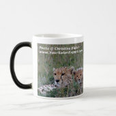 Guépard avec la tasse de petit animal (Gauche)