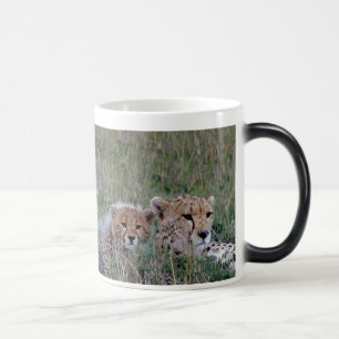 Guépard avec la tasse de petit animal