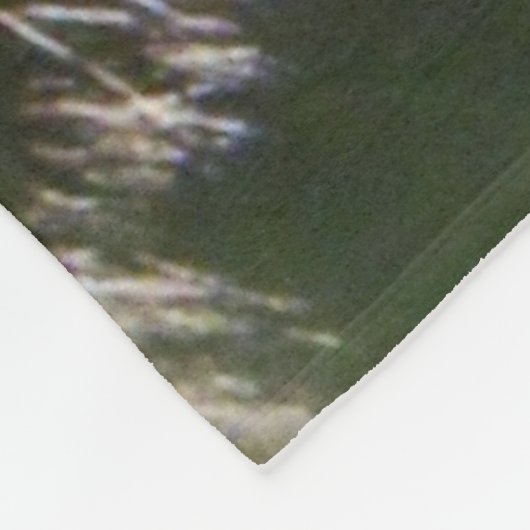 Guépard de zèbre de couverture de jet de poster de (Coin)