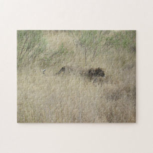 Guépard puzzle au Botswana, Afrique