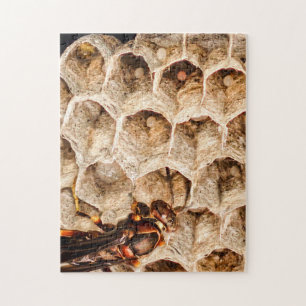 Guêpe de papier avec le puzzle de nid et d'oeufs