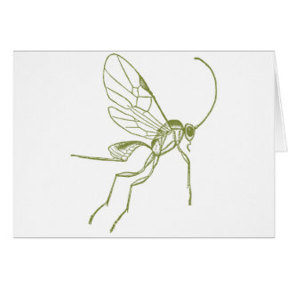 Guêpe, Hyphantria de Meteorus