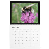 Guêpes d'abeilles et Hoverflies Calendrier 2015 (Mar 2026)