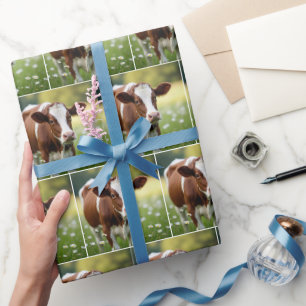 Guernsey-koe in madeliefjesveld cadeaupapier
