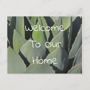 Guest Welcome Green Agave Leaves Photo Southwest Briefkaart