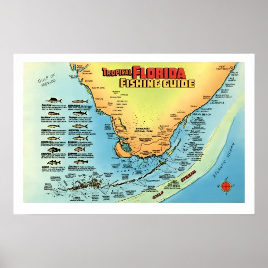 Guide de pêche de Floride Affiche 40x60 cm (Devant)