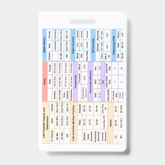 Guide de référence rapide du badge Echo  (Avant)