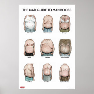 Guide MAD pour l'homme B**bs Poster