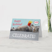 Guilty Cat Funny Birthday Kaart (Voorkant)