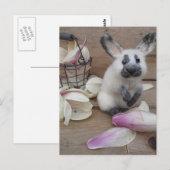 Guilty rabbit briefkaart (Voorkant / Achterkant)