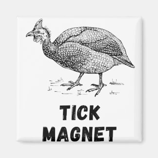 Guine Hen Fowl Farm Animals Country Poultry Guine Magneet
