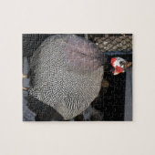 Guinea Hen Jigsaw Puzzle (Horizontal)