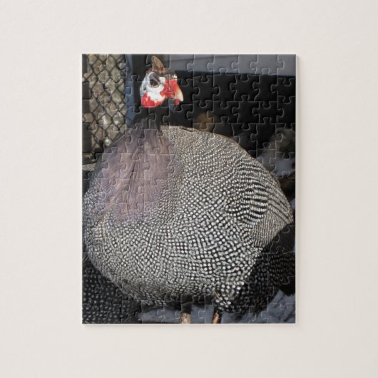 Guinea Hen Jigsaw Puzzle (Vertical)