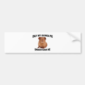 GUINEA.jpg Bumpersticker