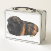 Guinea Pig (Achterkant)
