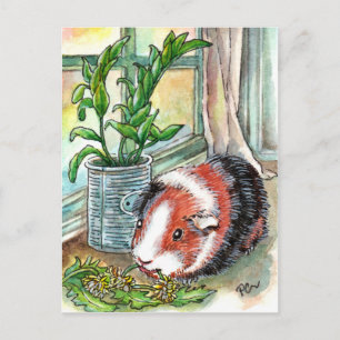 Guinea Pig by the Window Briefkaart