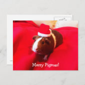 Guinea Pig Santa Claus Kerstvakantie Feestdagenkaart (Voorkant / Achterkant)