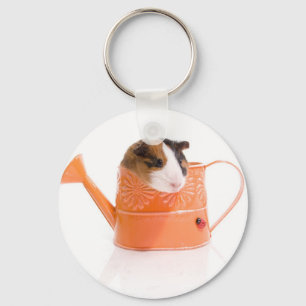 guinea pigs in a watering can sleutelhanger