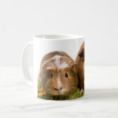Guinea pigs on a lawn koffiemok (Voorkant links)