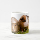 Guinea pigs on a lawn koffiemok (Center)