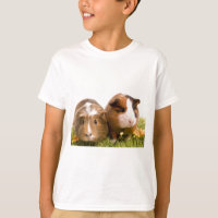 Guinea pigs on a lawn