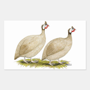 Guineas Buff Dundotte Fowl Rechthoekige Sticker