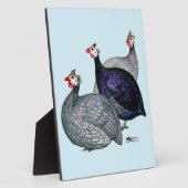 Guineas Drie Fotoplaat (Zijkant)