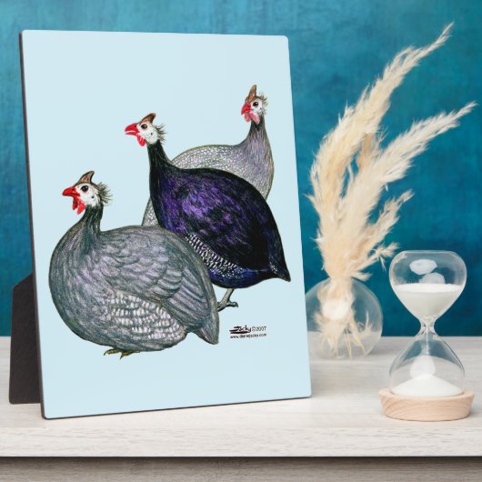 Guineas Drie Fotoplaat (Zijkant)