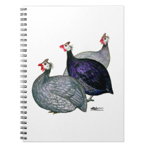 Guineas Drie Notitieboek