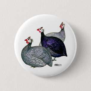 Guineas Drie Ronde Button 5,7 Cm