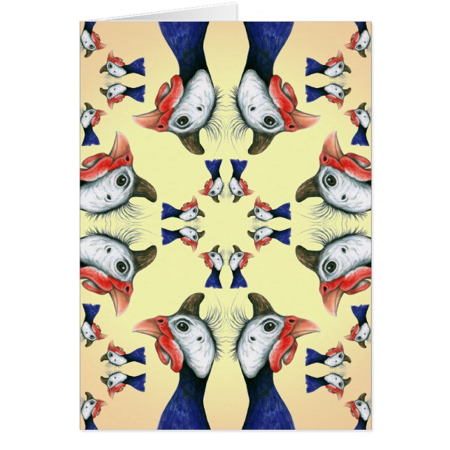 Guineas Partout ! (Devant)