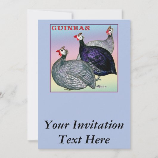 Guineas Three Fowl Kaart (Voorkant)