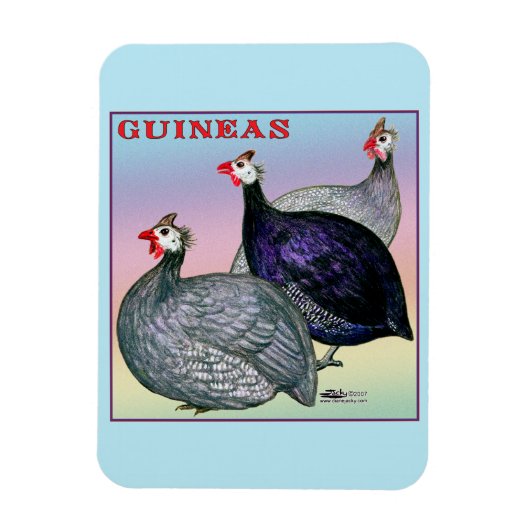 Guineas Three Fowl Magneet (Verticaal)
