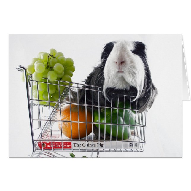 Guinee-Bissau (Voorkant Horizontaal)